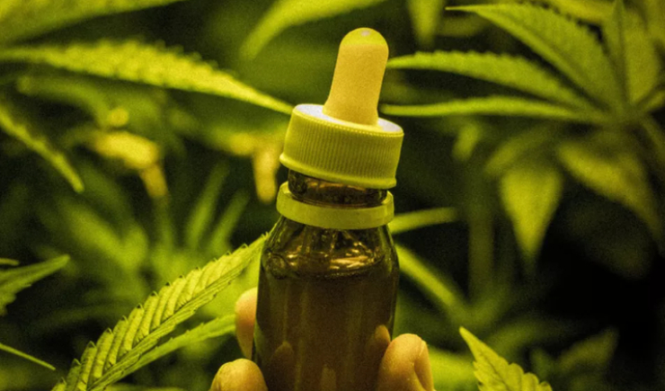 Anvisa atualiza regras para dispensação de produtos à base de Cannabis em farmácias