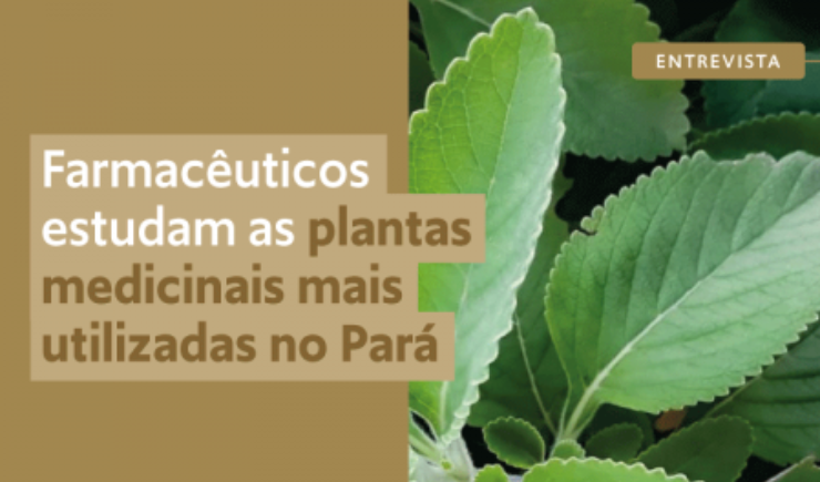 Farmacêuticos estudam as plantas medicinais mais utilizadas no Pará