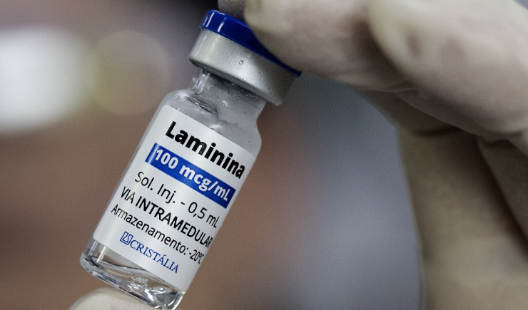 Proteína experimental para lesão medular avança para testes em humanos no Brasil