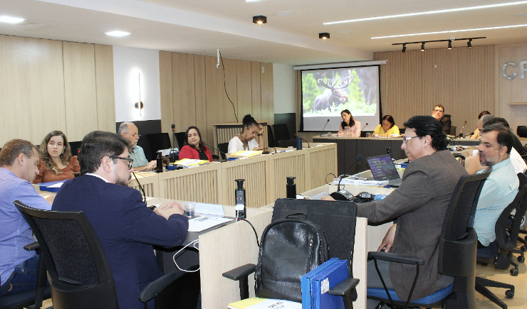 CRF-PE realiza plenária com discussão de pautas administrativas e profissionais