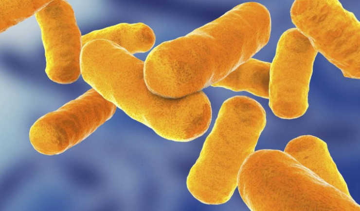 Inalação contra a tuberculose: projeto inédito pode transformar tratamento no Brasil