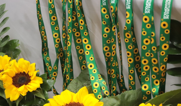 SUS não será obrigado a distribuir cordões com desenhos de girassóis