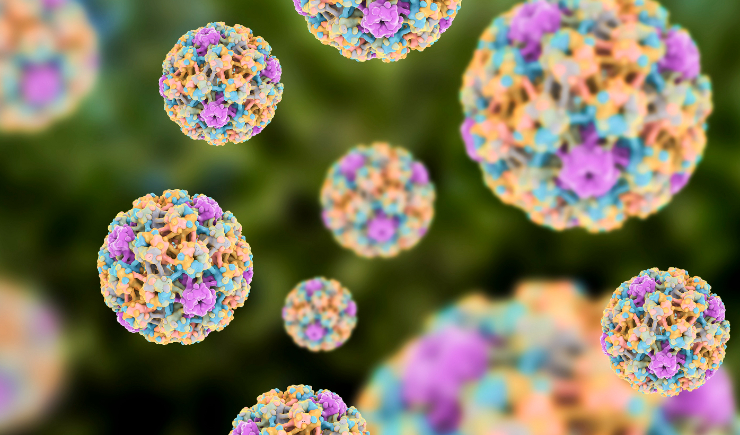 SUS substitui Papanicolaou por exame que detecta HPV 10 anos antes das lesões