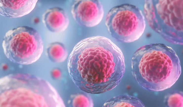 Terapia com células-tronco elimina necessidade de insulina em pacientes com diabetes tipo 1 grave