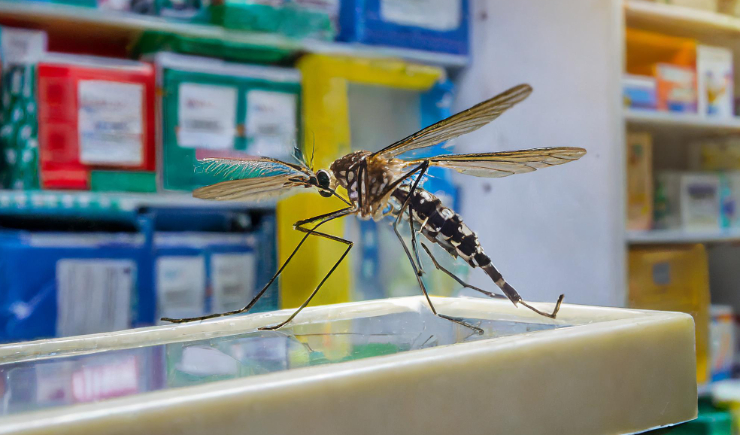 Saúde oferta cursos sobre dengue para profissionais de saúde e interessados