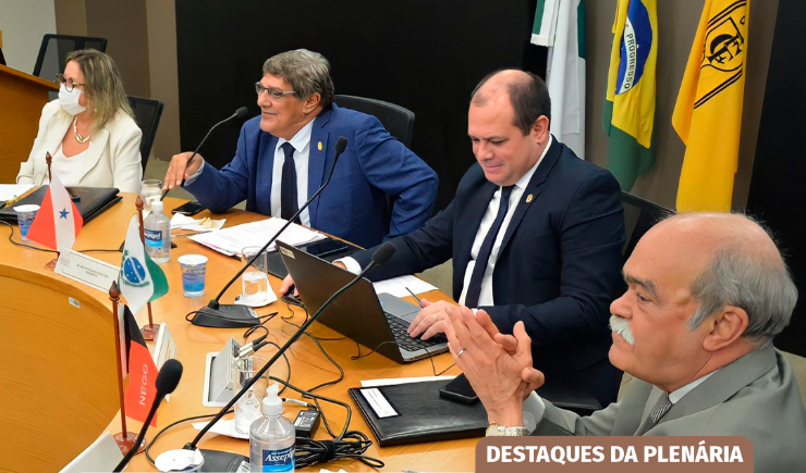 Reunião Plenária do CFF é encerrada em Brasília, após ritmo intenso de trabalho