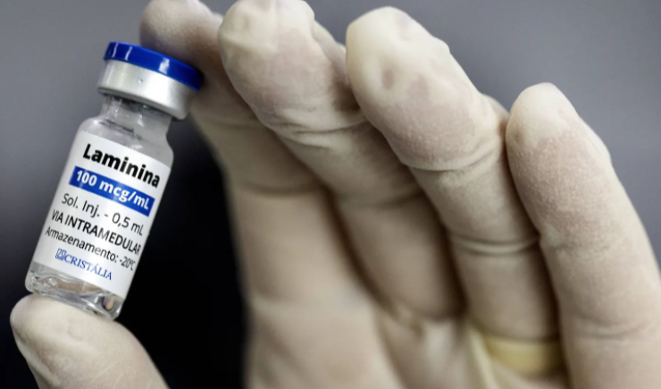 Anvisa autoriza pesquisa clínica para avaliar a segurança do uso da polilaminina em humanos