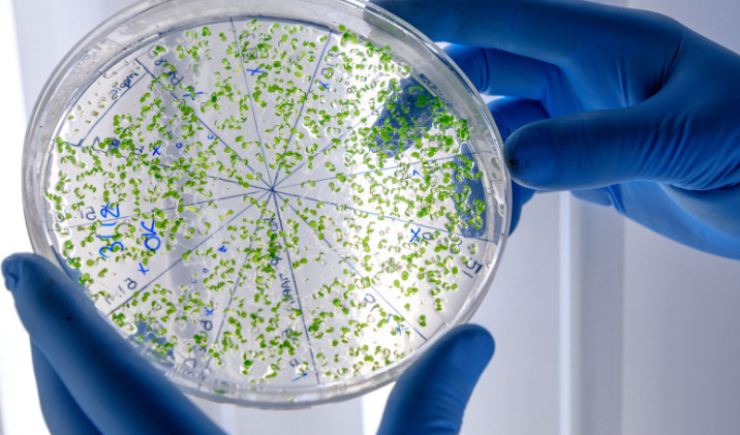 Superbactérias podem aumentar em até 3,6 vezes os gastos com pacientes em UTIs