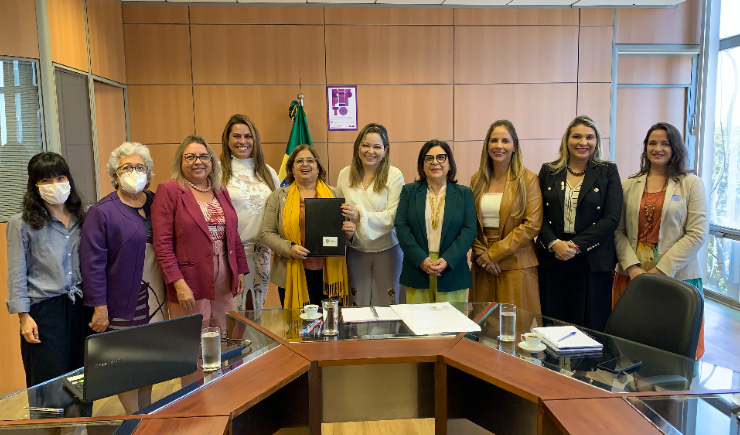 GT Nacional da Mulher do CFF propõe ações conjuntas ao Ministério das Mulheres
