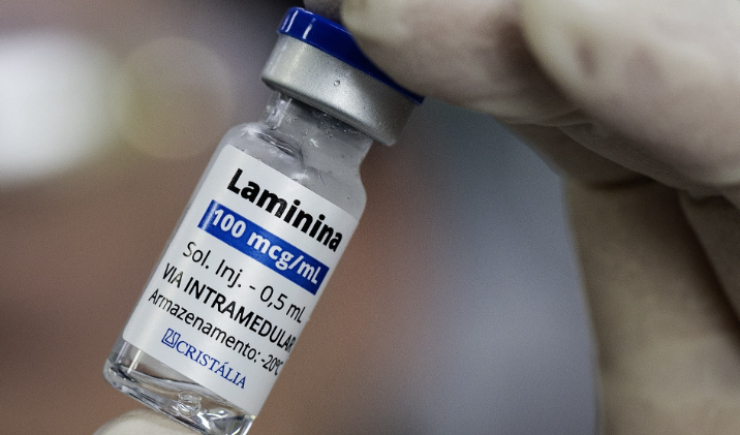 Proteína experimental para lesão medular avança para testes em humanos no Brasil