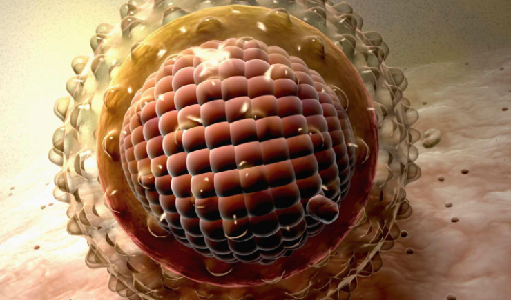 Hepatites virais: OMS alerta para avanço de casos e reforça urgência na prevenção e tratamento
