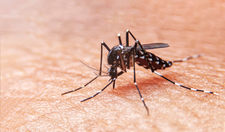 Saúde permite ampliação de faixa etária para vacina da dengue em doses prestes a vencer