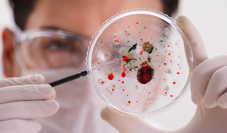 Einstein promove simpósio sobre infectologia e controle de infecções