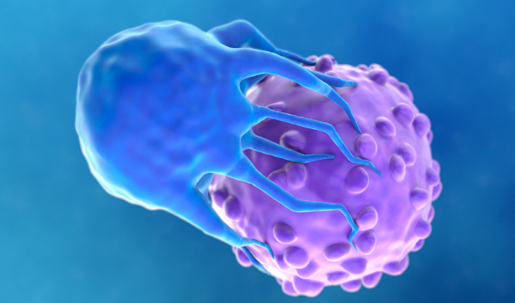 d7ba90e03490d0ec9f7b407872b87cbfff96d933.jpeg?profile=RESIZE_584x