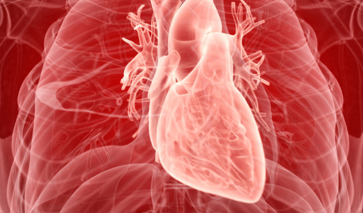 Anvisa aprova semaglutida para reduzir risco cardiovascular