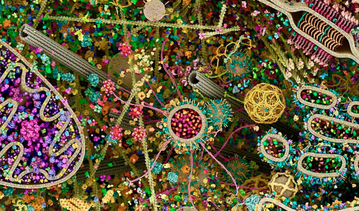 Imagem mais detalhada de uma célula humana feita por radiografia viraliza nas redes