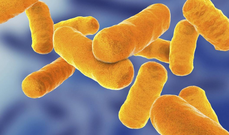 Inalação contra a tuberculose: projeto inédito pode transformar tratamento no Brasil