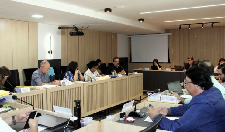 Conselheiros analisam processos e discutiram temas de interesse da categoria farmacêutica