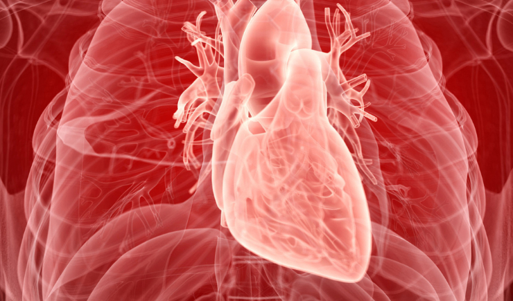 Anvisa aprova semaglutida para reduzir risco cardiovascular