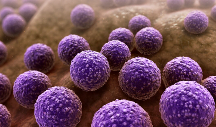 Cientistas produzem enzima que “desmonta” proteção de bactéria resistente