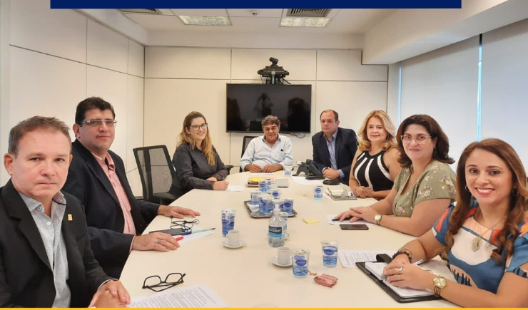 Presidente do CRF-PE participa de reunião dos CRFS com o Presidente do CFF