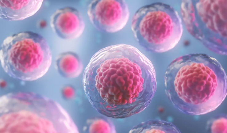 Terapia com células-tronco elimina necessidade de insulina em pacientes com diabetes tipo 1 grave