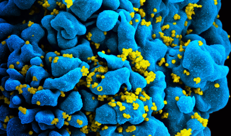 Brasil recebe validação inédita da OMS por eliminar transmissão vertical do HIV